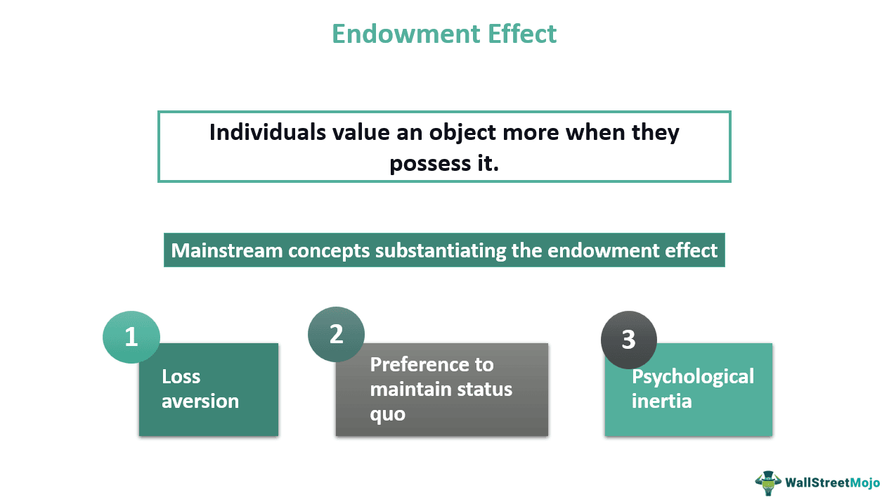 Endowment Effect
