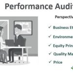 Performance Audit - Meaning, Example, Objective