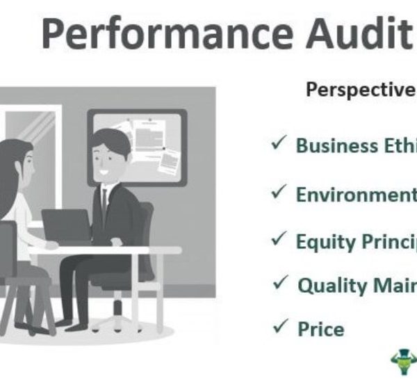 Work Performance Audit Performance Audit - Meaning, Example, Objective