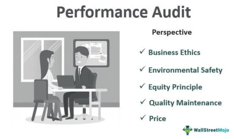 Performance Audit - Meaning, Example, Objective