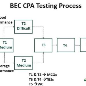 BEC CPA Exam Section - Overview, Format, Top Tips [2022]