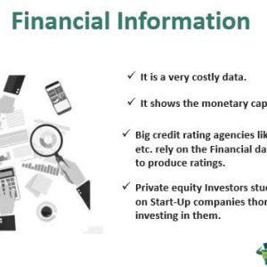 Generating Financial Information Financial Information - What Is It, Users, Sources, Example