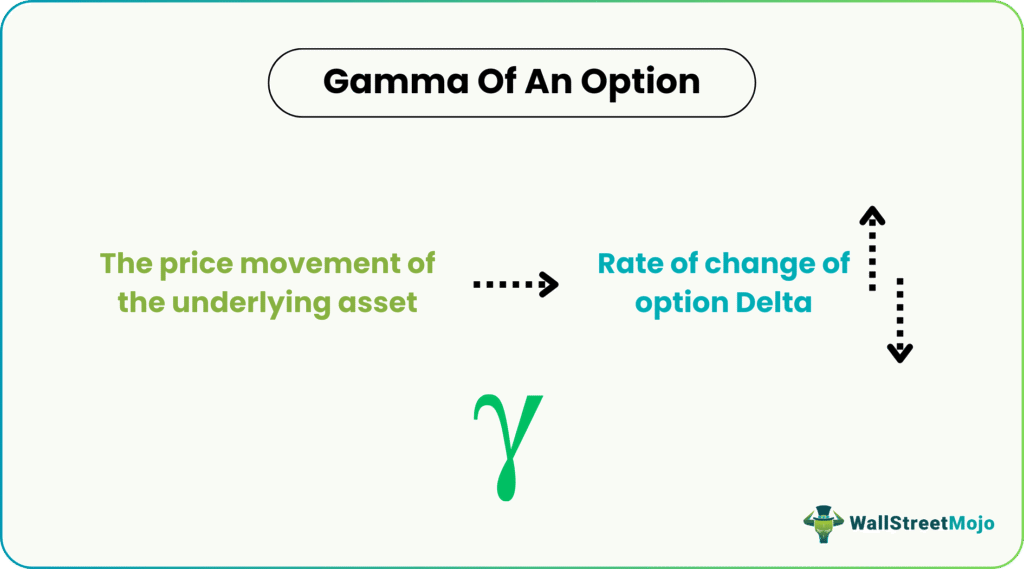 Gamma Of An Option