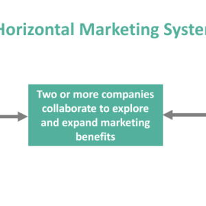 Horizontal Marketing System - What Is It, Examples, Vs Vertical