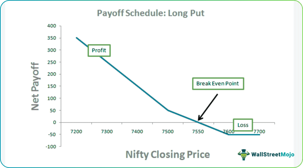 Long Put Payoff