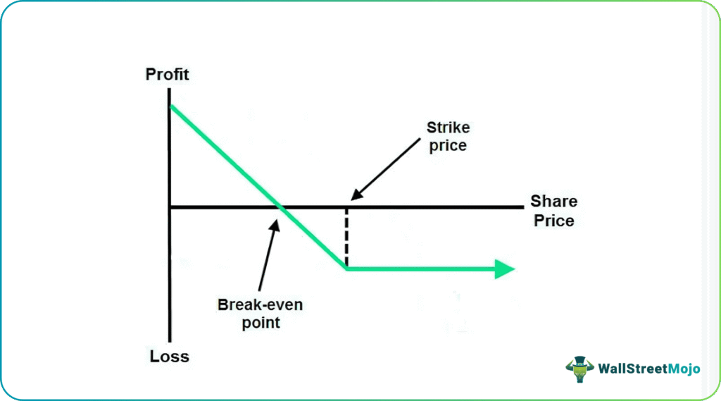 long put graph