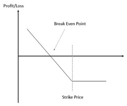 long put graph above
