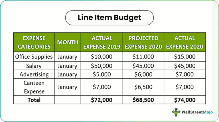 Expense Line Item Line Item Budget - What Is It, Examples, Vs Program Budget