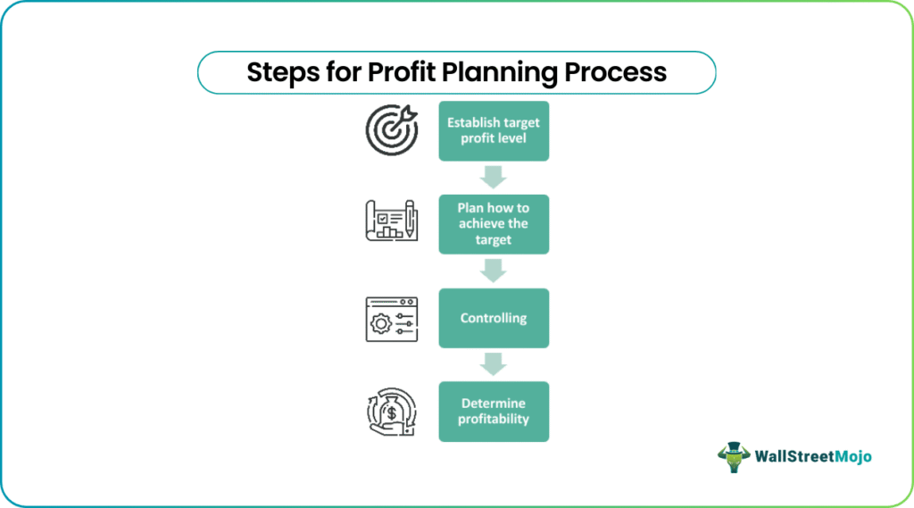 Steps for profit planning