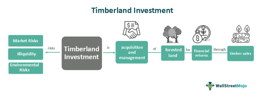 Platteland ondergeschikt Doe herleven Timberland Investment - What Is It, Types, Examples, Risks