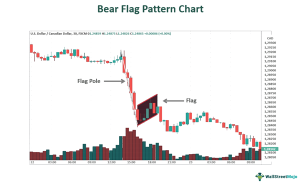 bear flag pattern chart 