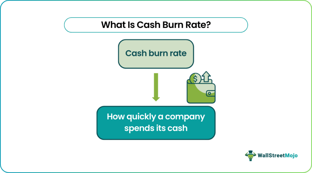 Cash Burn Rate