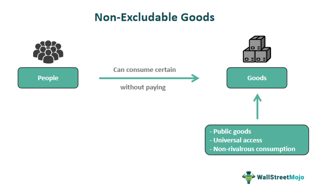 Non-Excludable Goods