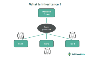 Inheritance - Meaning, Taxation, Examples, Probate, Restrictions