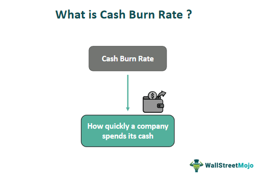 Cash Burn Rate
