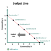 Budget Line - What Is It, Equation, Examples, vs Indifference Curve