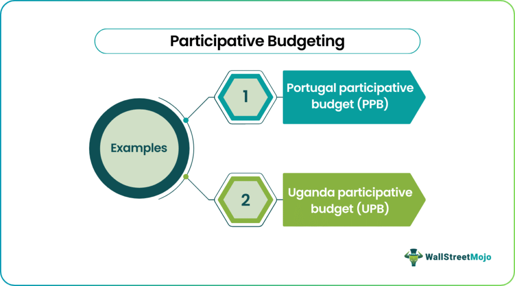 participative budgeting Examples