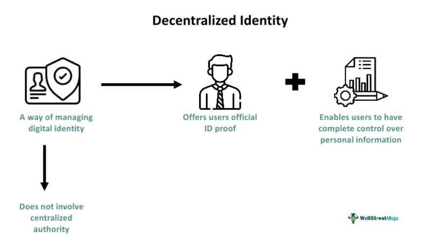 Self-Sovereign IDs: Navigating Decentralized Identity Platforms