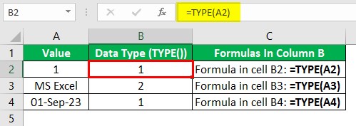 Type Excel Intro - Output.jpg