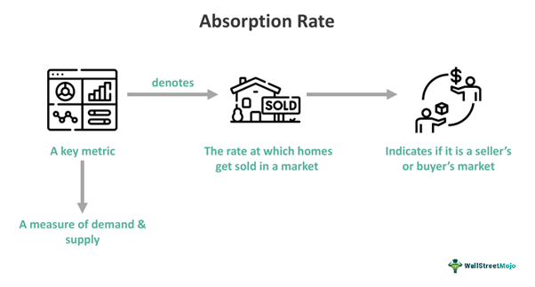 Absorption Rate