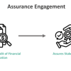 Assurance Engagement - What Is It, Elements, Types, Examples
