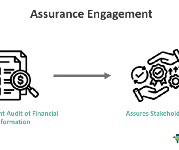 Assurance Engagement - What Is It, Elements, Types, Examples
