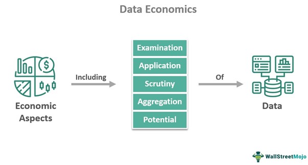 Data Economics