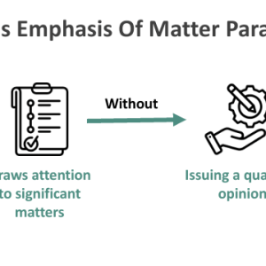Emphasis Of Matter Paragraph - What Is It, 2 Examples