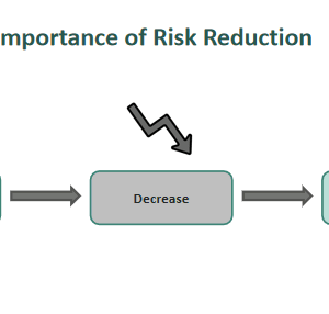 Revenue Risk Reduction Risk Reduction - What Is It, Examples, Methods, Benefits