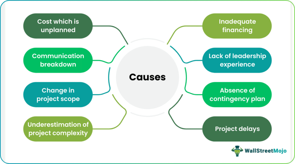 cost overrun Causes