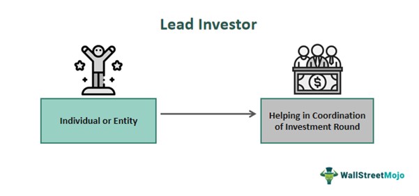 Lead Investor