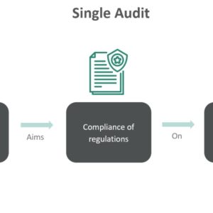 Single Audit - What Is It, Example, Requirements, Vs Regular Audit