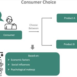Consumer Choice - What Is It, Examples, Factors, Types