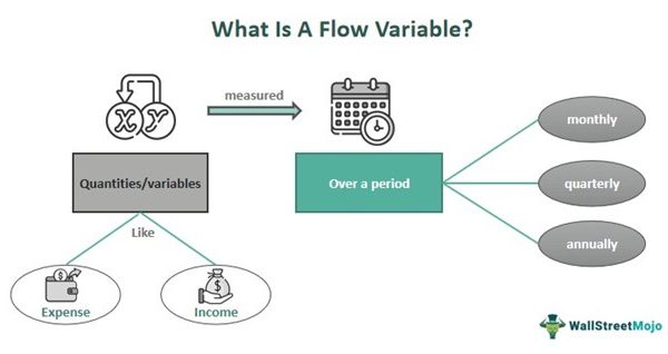 Flow Variable in Economics - What Is It, Example, vs Stock Variable