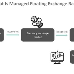 Managed Floating Exchange Rate System - What Is It, Examples