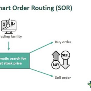 Smart Order Routing Icon Smart Order Routing (SOR) - Meaning, Vs Algorithmic Trading