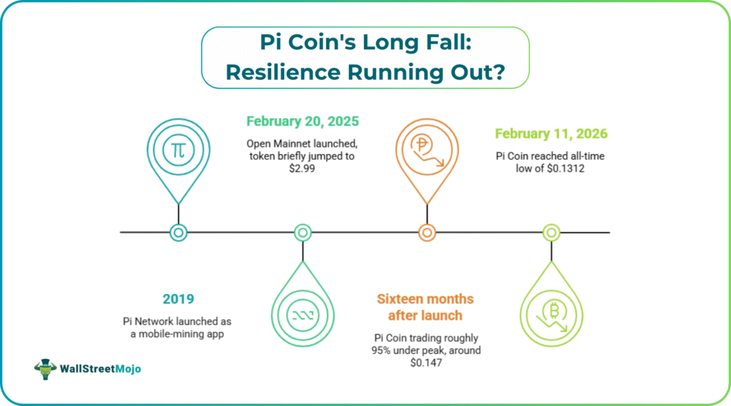 Pi Coin's Long Fal
