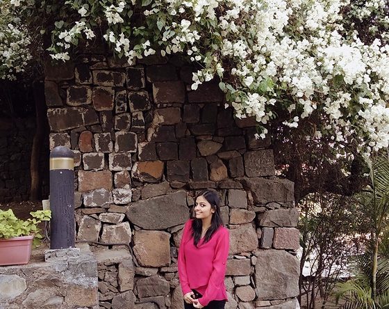 Vageesha Mishra - WallStreetMojo author