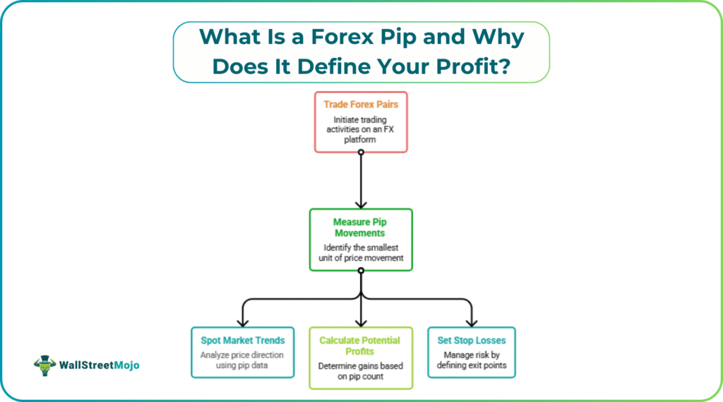 What Is a Forex Pip and Why Does It Define Your Profit