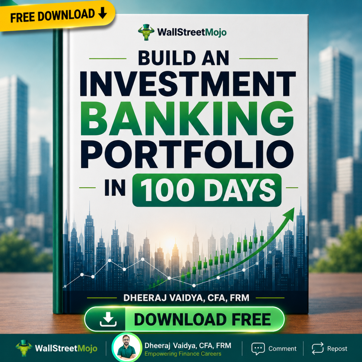 Build an Investment Banking Portfolio in 100 Days