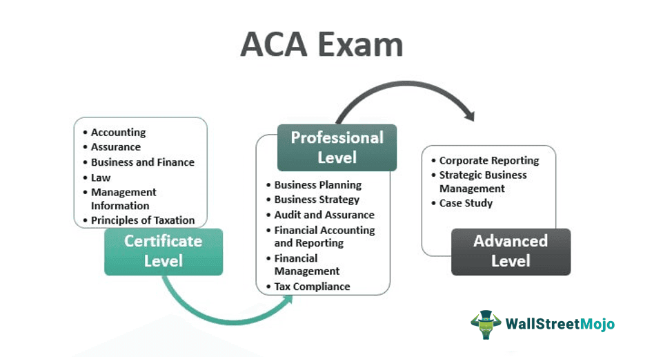 ACA Exam - Associate Chartered Accountant Guide