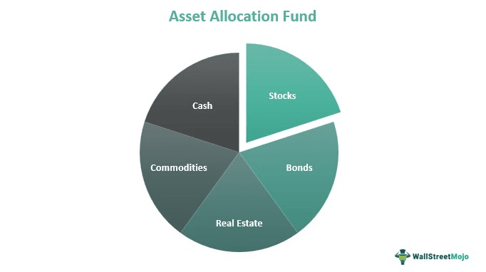 Asset Allocation Fund