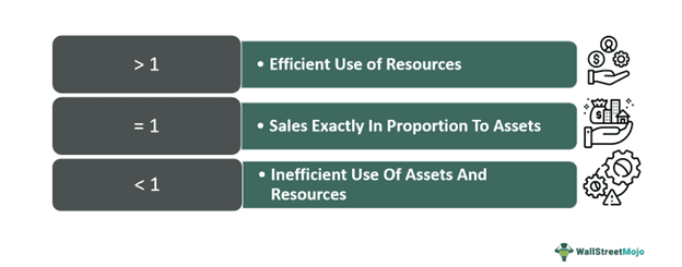 Asset Management Ratios
