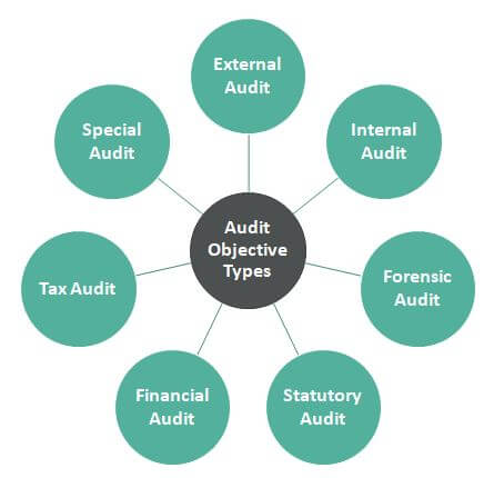 Audit Objectives