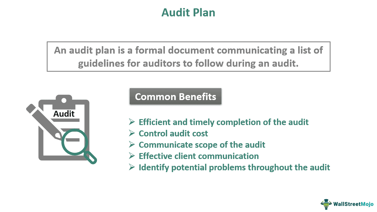 Audit Plan