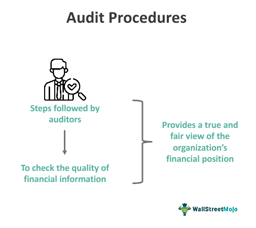Audit Procedures