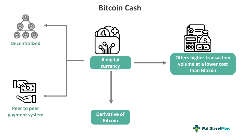 Bitcoin Cash