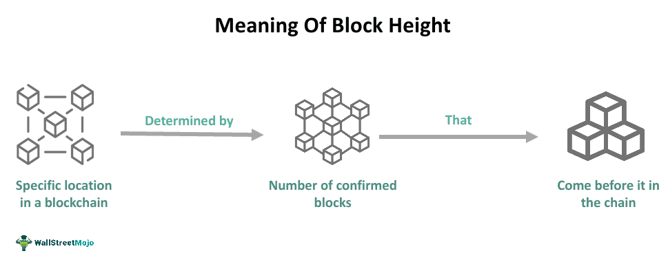 Block Height