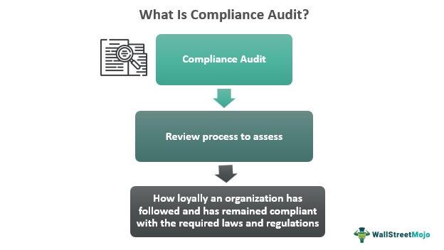 Compliance Audit