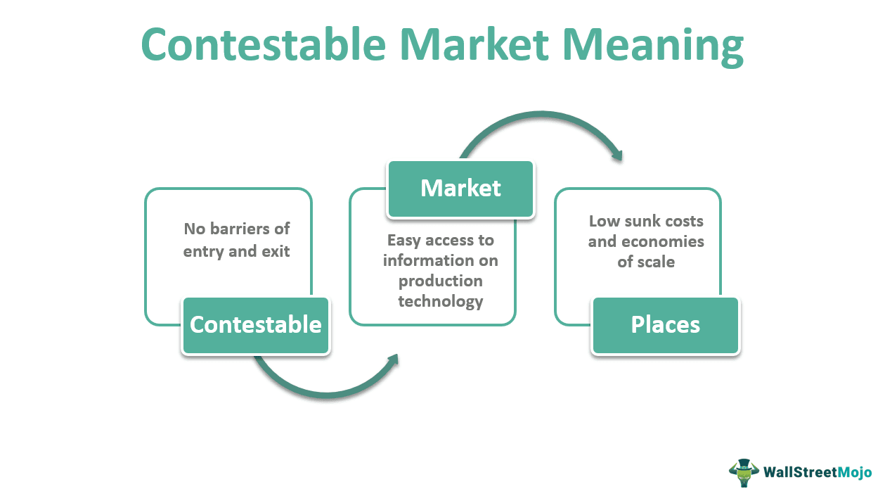 Contestable Market